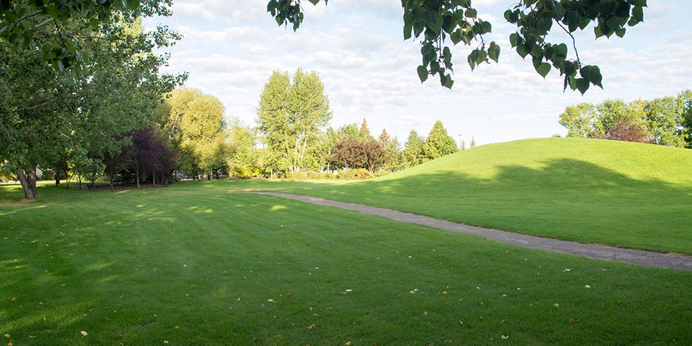 avalon2.jpeg