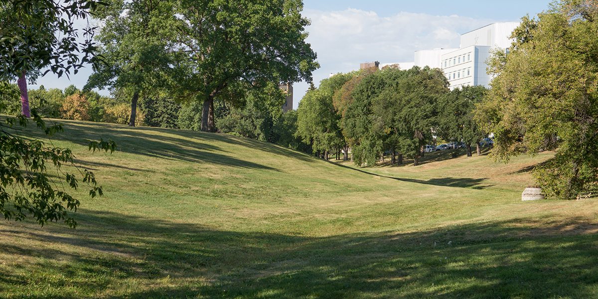 city-park2.jpeg